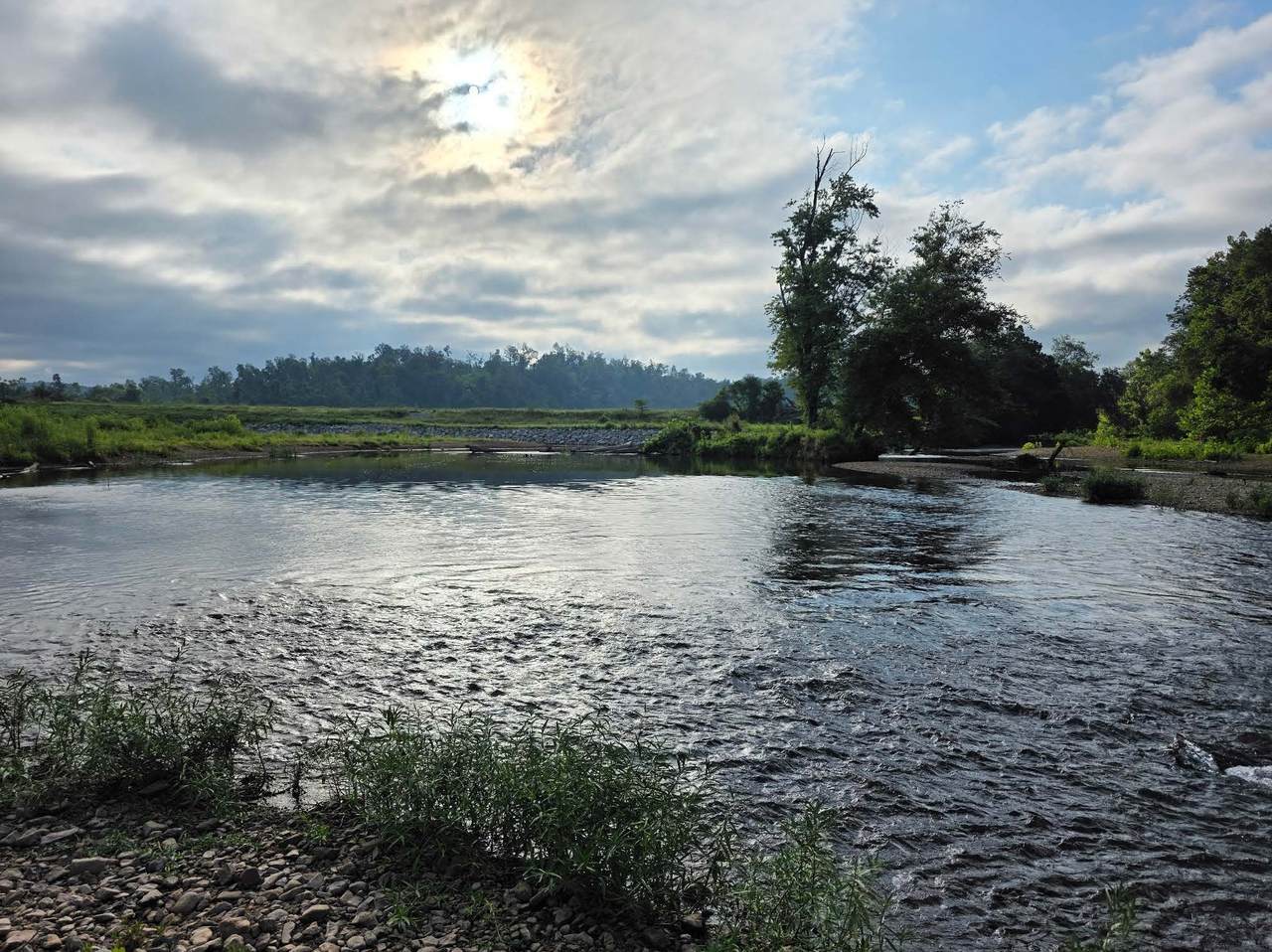 7209 Topsy Rd - Photo 1