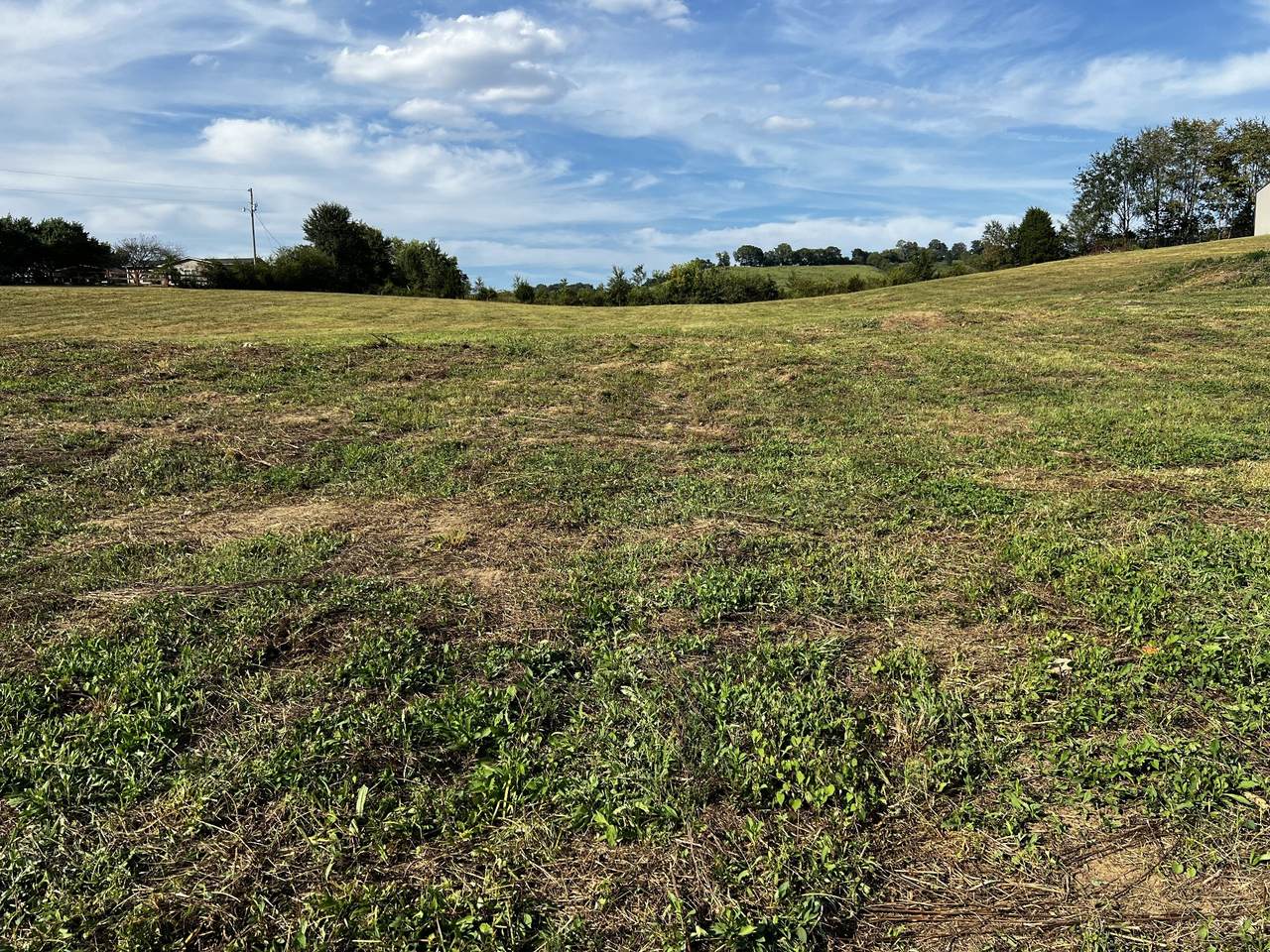 3026 Lynnville Hwy - Photo 1