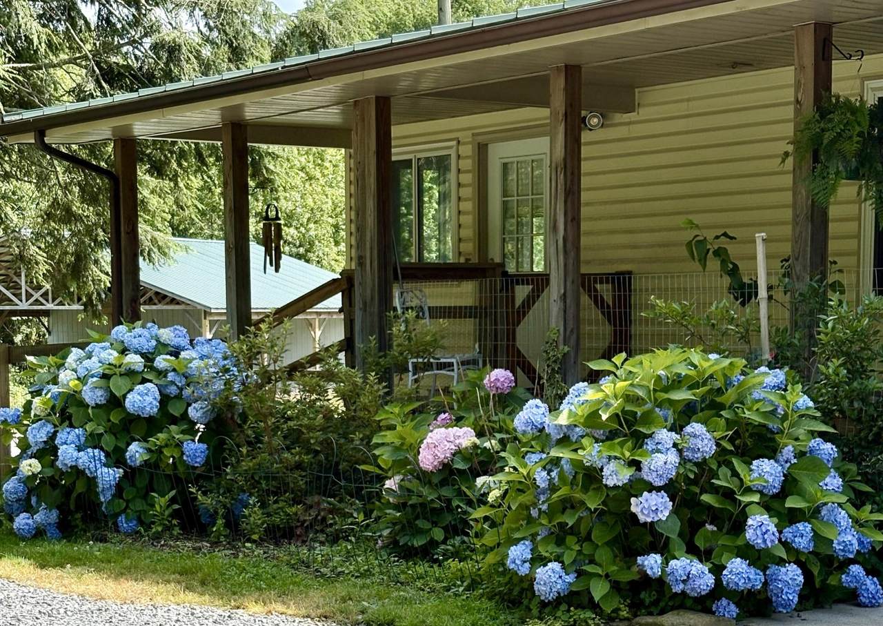 2208 Poe Road - Photo 1