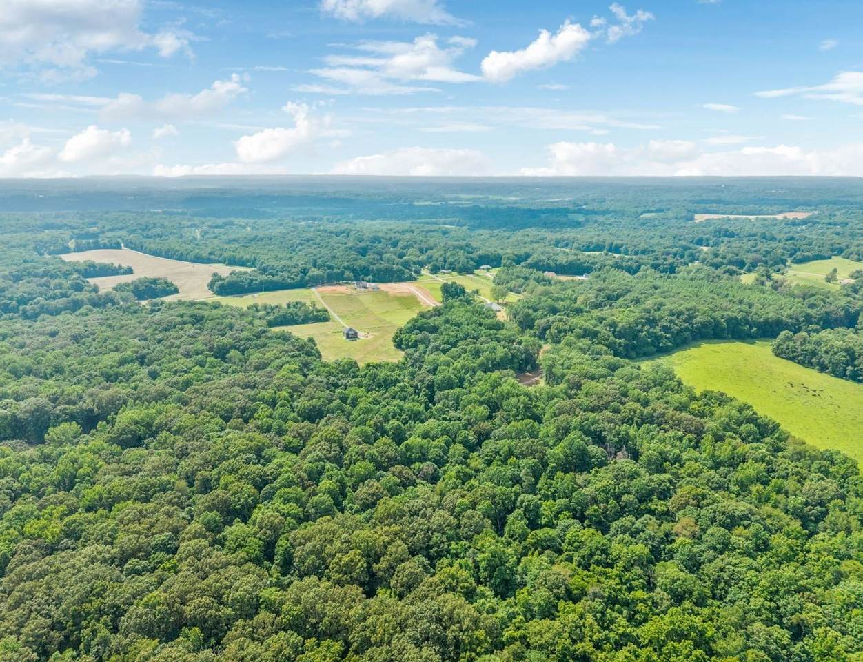 19 Gholson Road - Photo 1