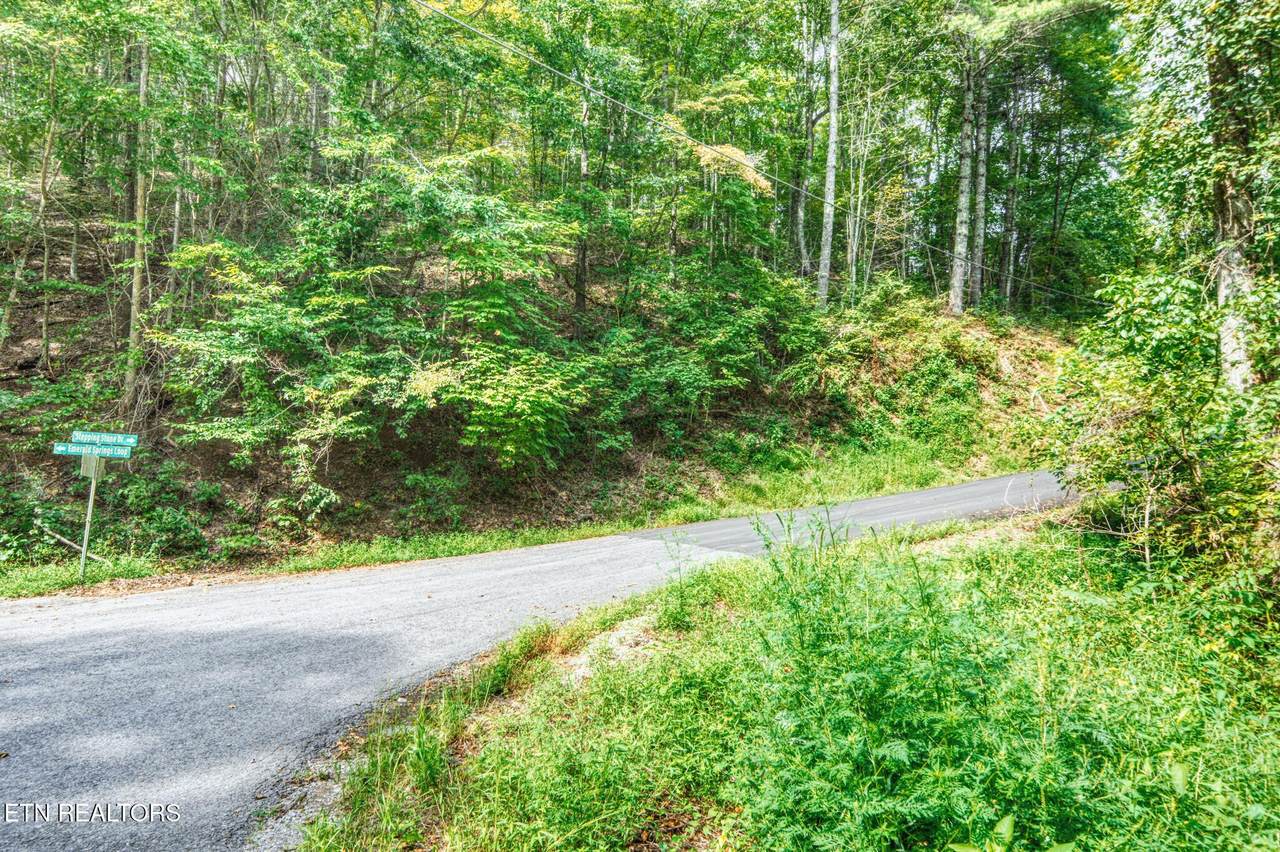 0 Lot 10 Stepping Stone Drive - Photo 1