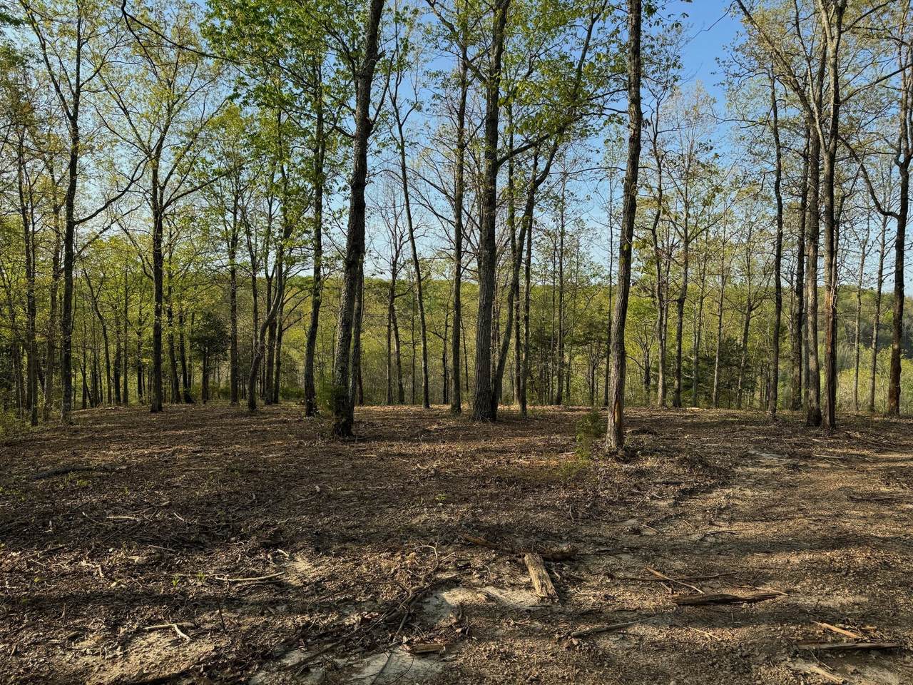 https://bt-photos.global.ssl.fastly.net/nashville/1280_boomver_1_RTC3123914-1.jpg