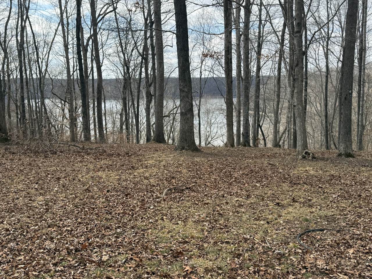 https://bt-photos.global.ssl.fastly.net/nashville/1280_boomver_1_RTC3130346-1.jpg