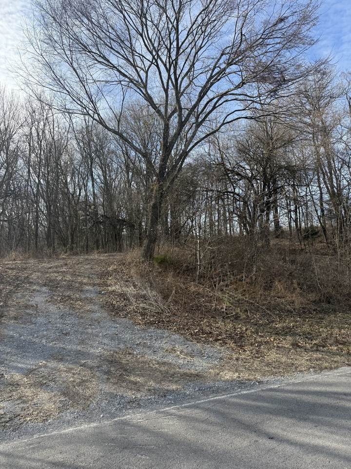 4412 Old Murfreesboro Rd - Photo 1