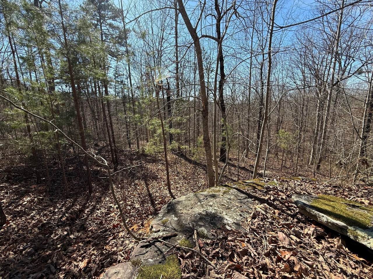 https://bt-photos.global.ssl.fastly.net/nashville/1280_boomver_1_RTC3130558-1.jpg