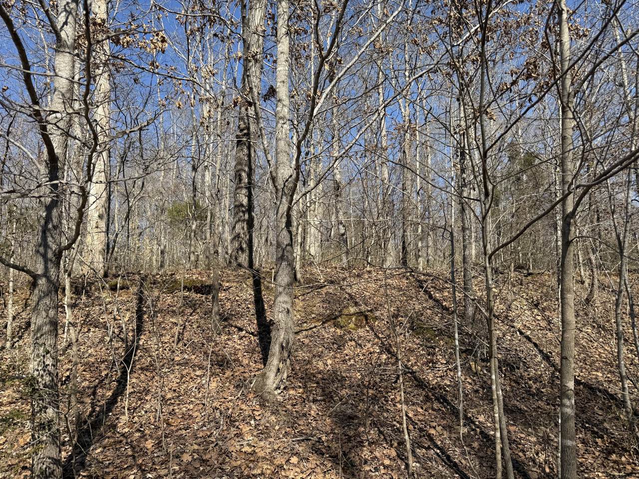 0 Hurricane Loop - Photo 1