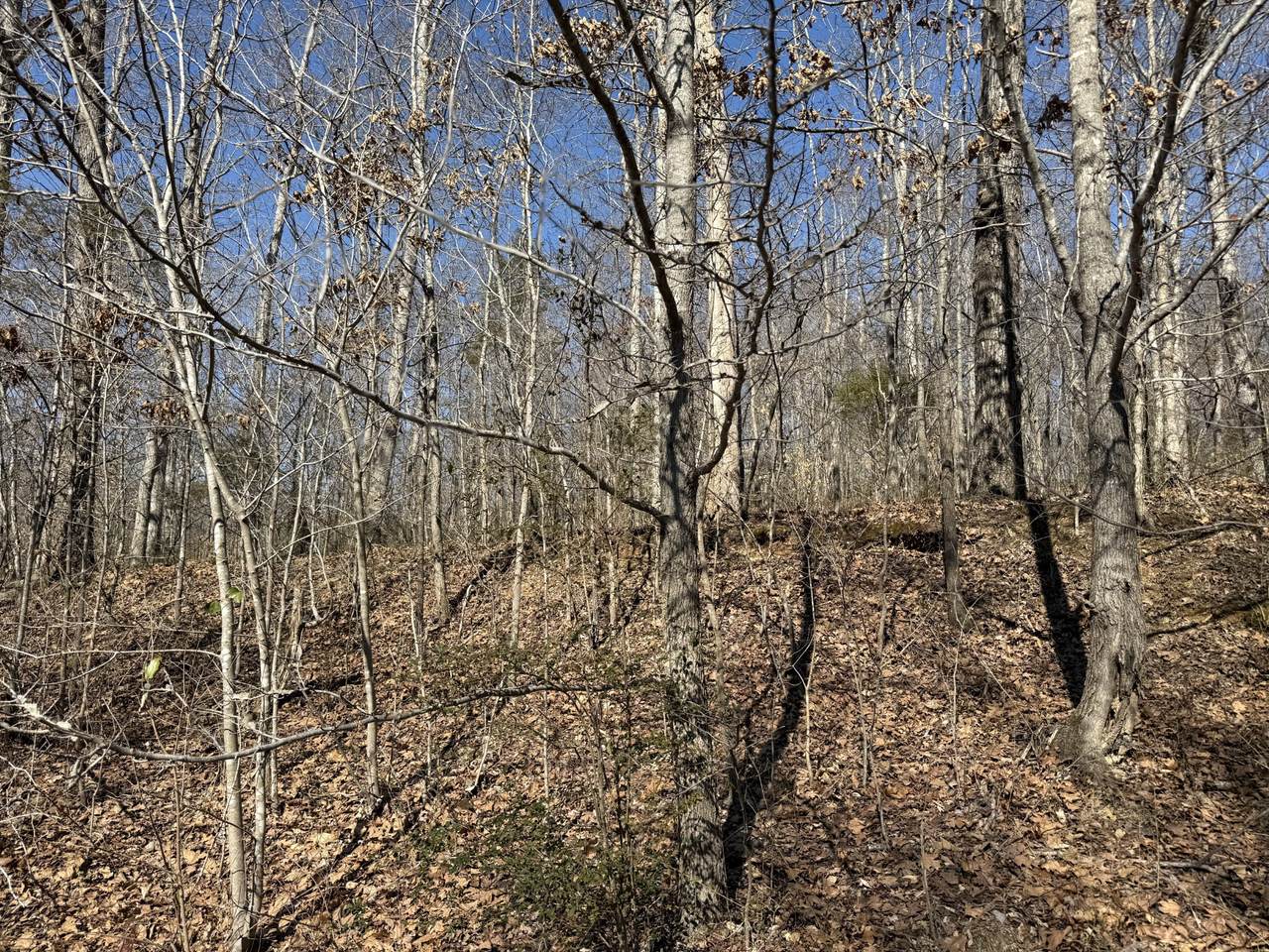 https://bt-photos.global.ssl.fastly.net/nashville/1280_boomver_1_RTC3130740-1.jpg