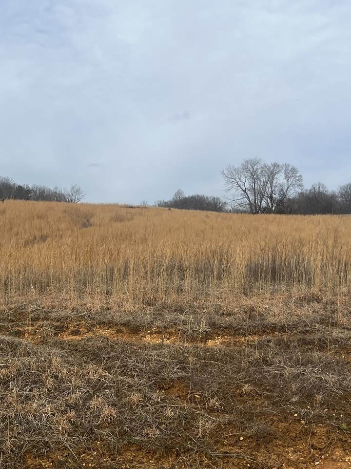0 Hidden River Rd - Photo 1