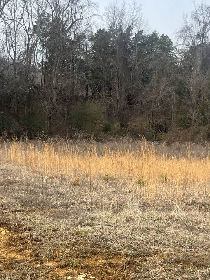 https://bt-photos.global.ssl.fastly.net/nashville/1280_boomver_1_RTC3130957-1.jpg