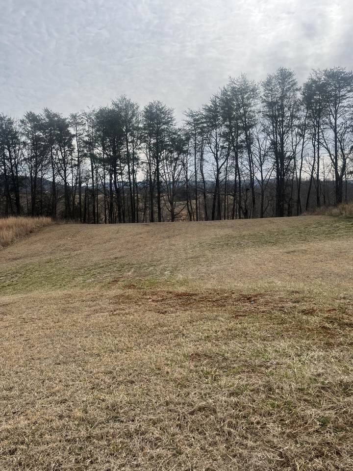 0 Hidden River Rd - Photo 1