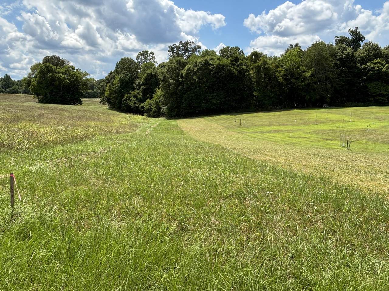 https://bt-photos.global.ssl.fastly.net/nashville/1280_boomver_1_RTC3131208-1.jpg