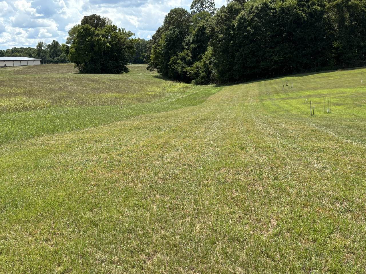https://bt-photos.global.ssl.fastly.net/nashville/1280_boomver_1_RTC3131208-1.jpg