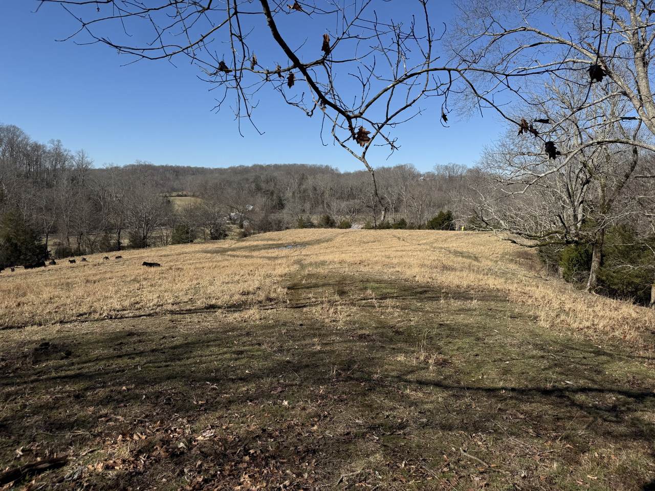 4 N Lick Creek Rd - Photo 1