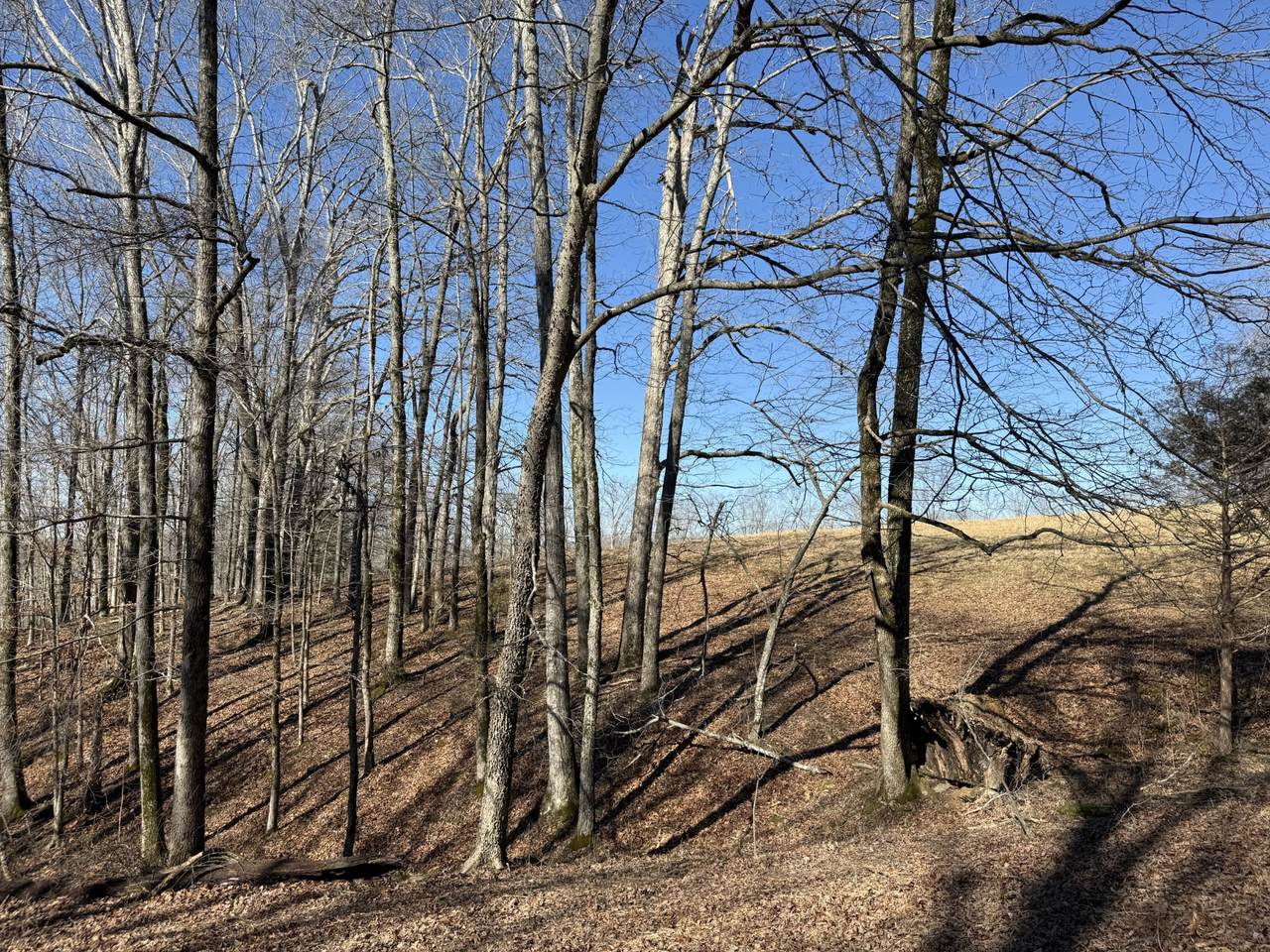 https://bt-photos.global.ssl.fastly.net/nashville/1280_boomver_1_RTC3131238-1.jpg