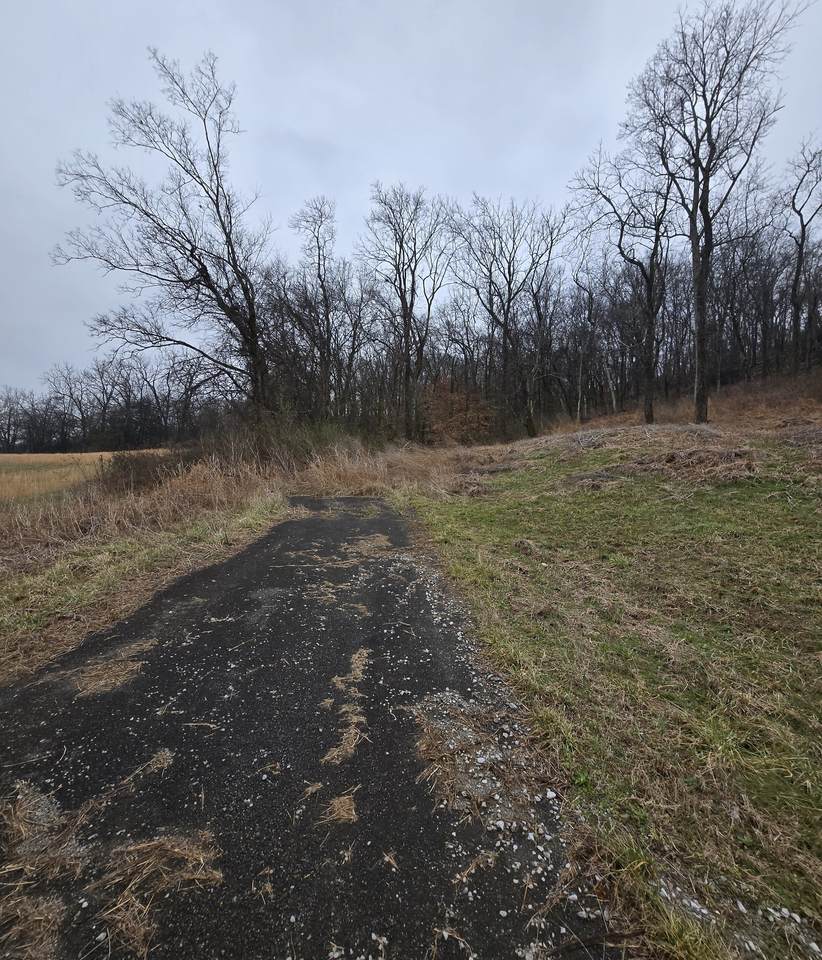 22241 Hwy 64 - Photo 1