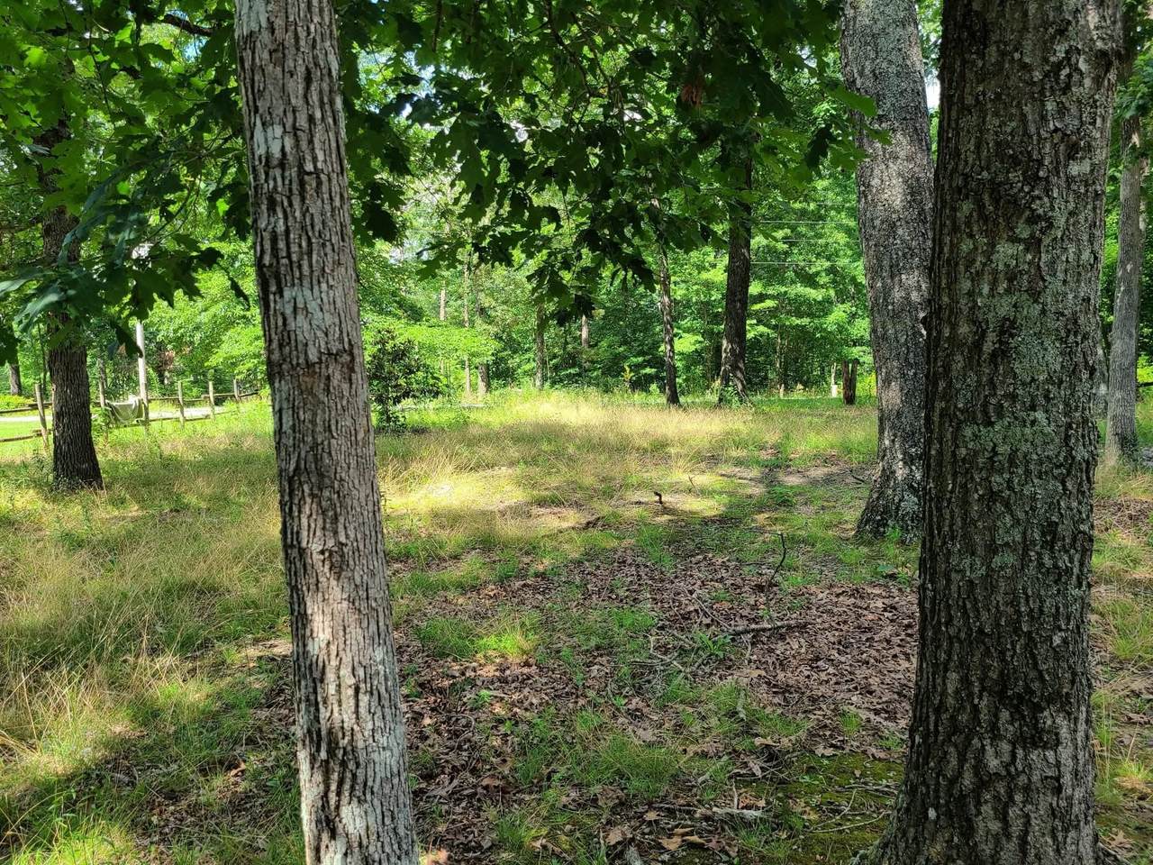 https://bt-photos.global.ssl.fastly.net/nashville/1280_boomver_1_RTC3131465-1.jpg