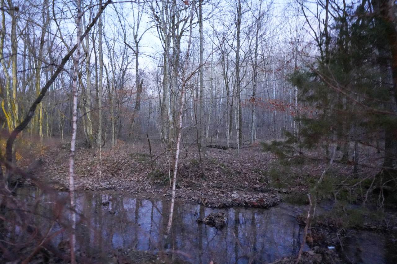 4 John Ross Hollow Rd - Photo 1
