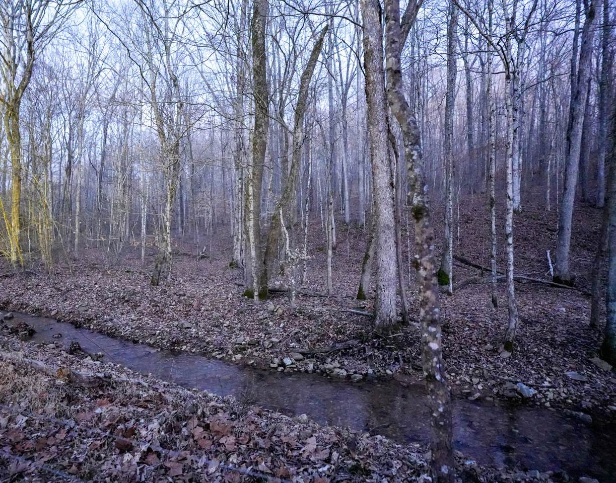 https://bt-photos.global.ssl.fastly.net/nashville/1280_boomver_1_RTC3131502-1.jpg