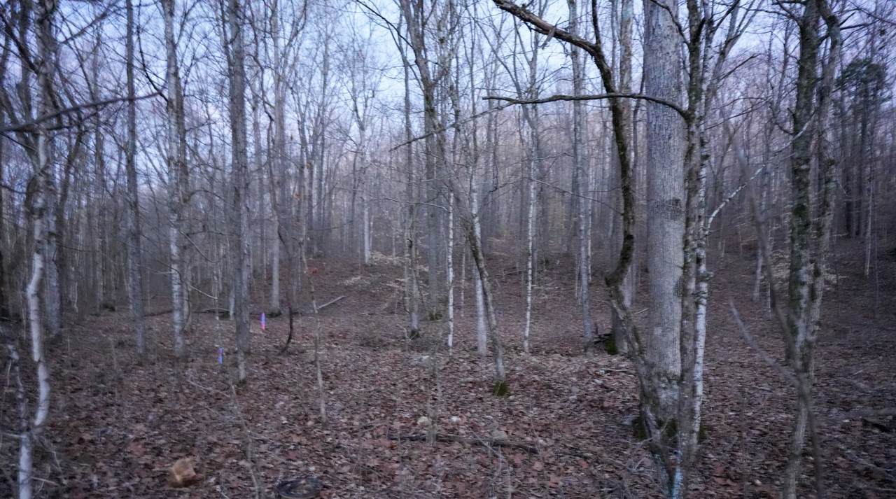 https://bt-photos.global.ssl.fastly.net/nashville/1280_boomver_1_RTC3131506-1.jpg