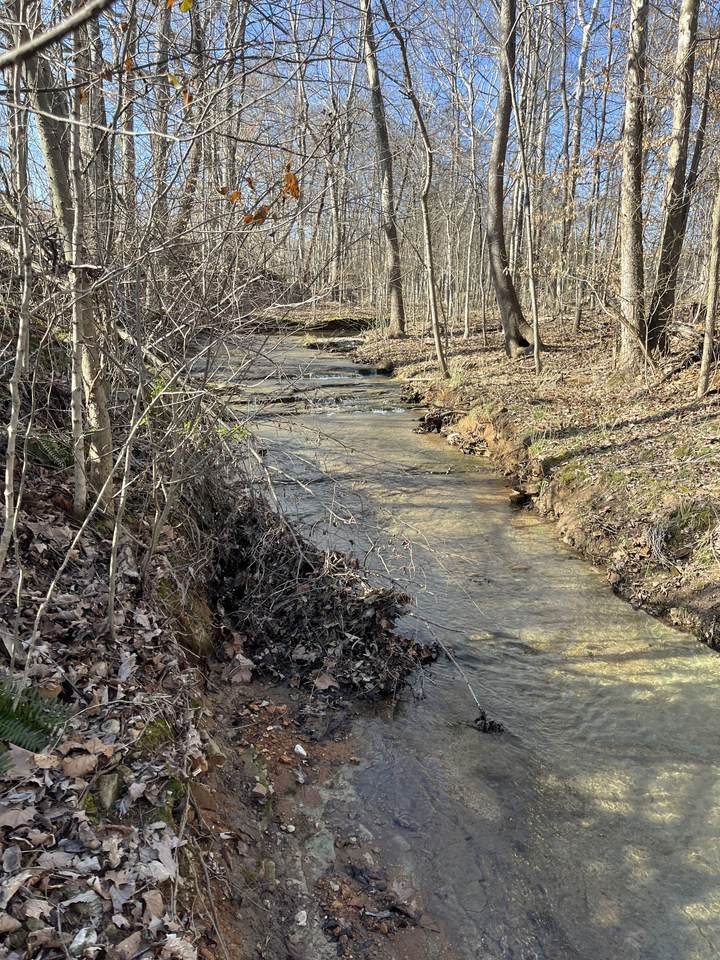 4061 Sawmill Rd - Photo 1