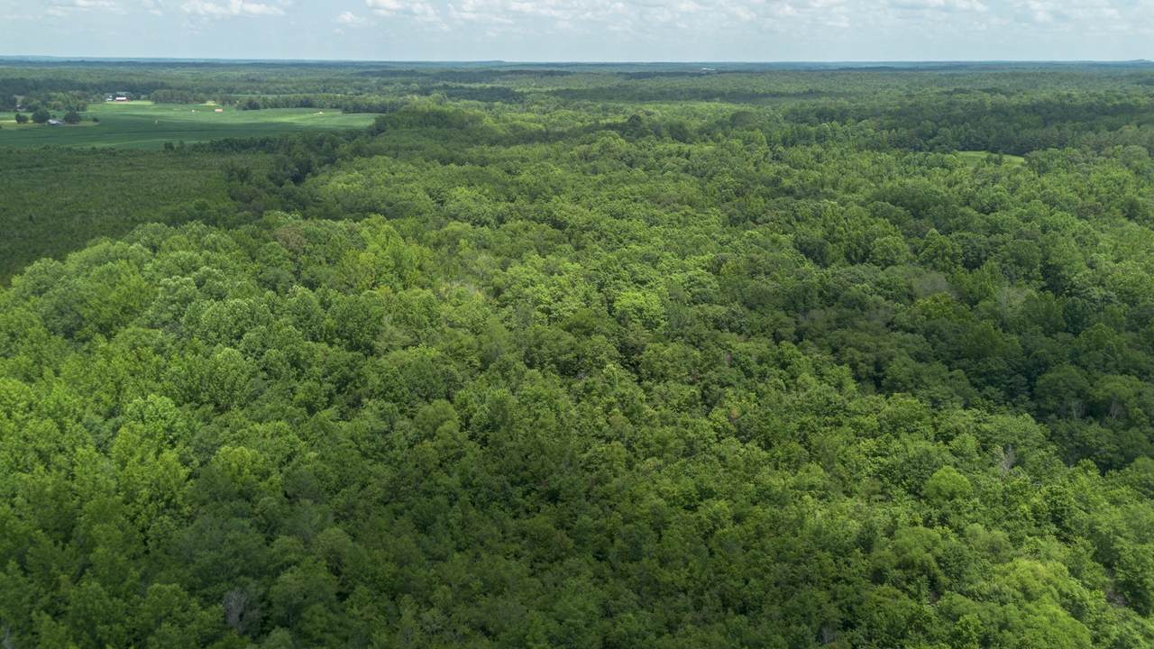 0 Smith Rd - Photo 1