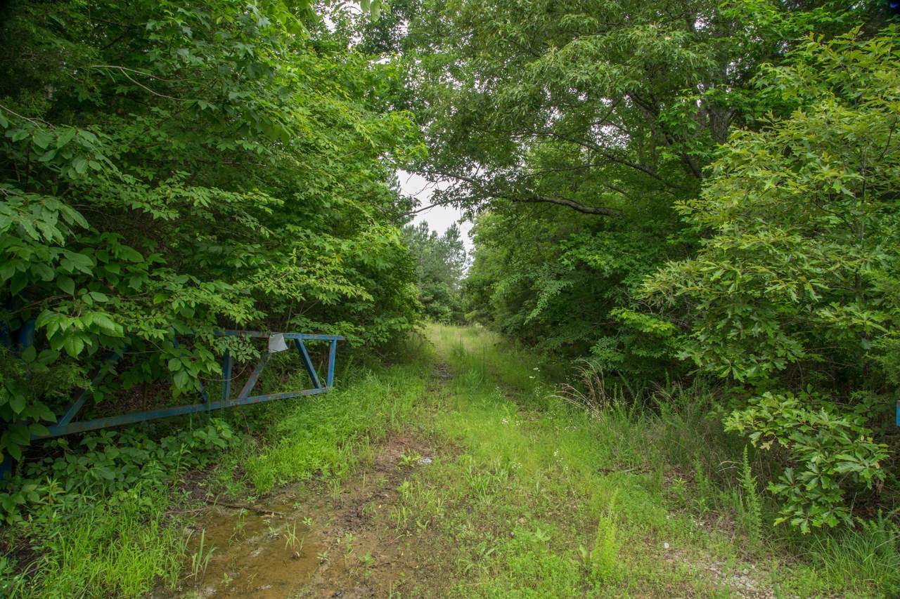 https://bt-photos.global.ssl.fastly.net/nashville/1280_boomver_1_RTC3131886-1.jpg
