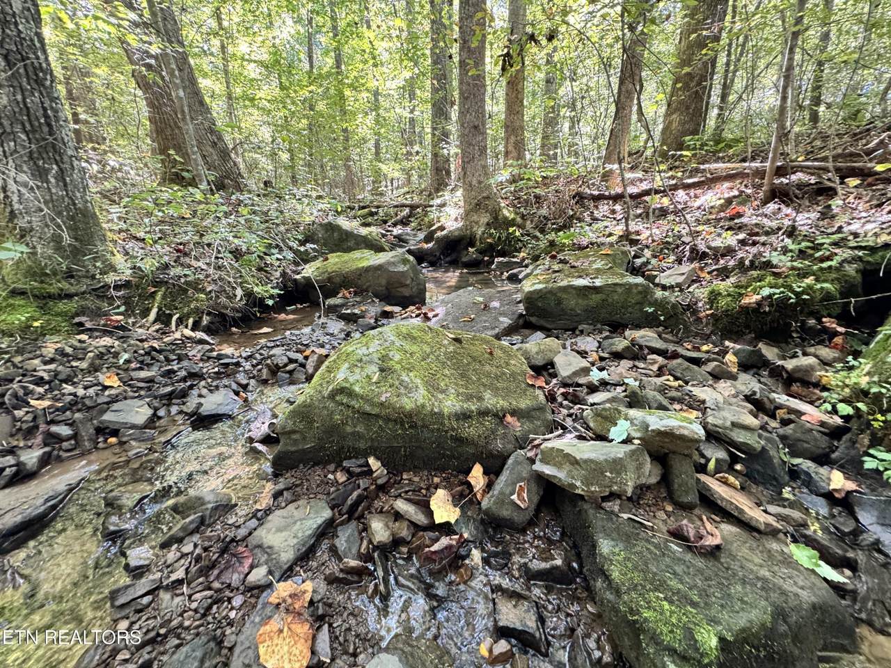 https://bt-photos.global.ssl.fastly.net/nashville/1280_boomver_1_RTC3131898-1.jpg