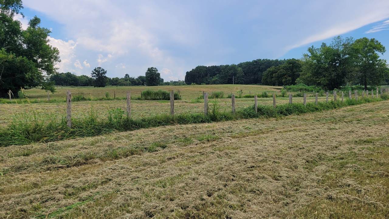 https://bt-photos.global.ssl.fastly.net/nashville/1280_boomver_1_RTC3132511-1.jpg