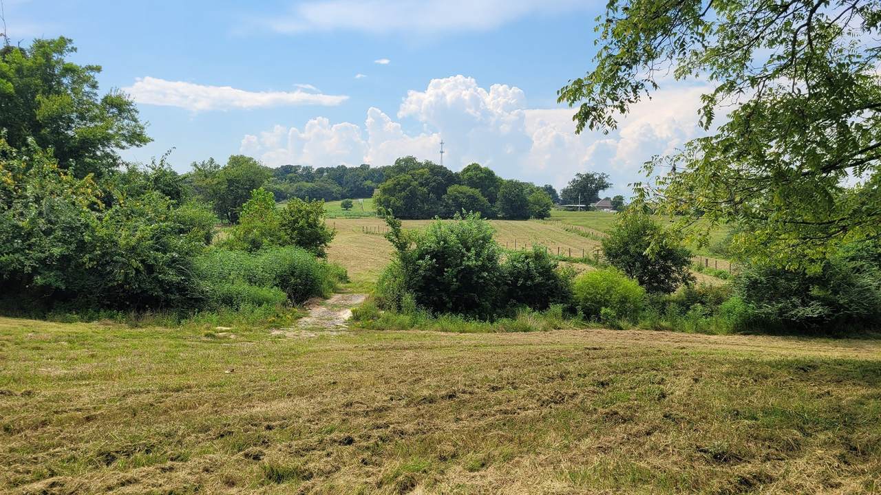 https://bt-photos.global.ssl.fastly.net/nashville/1280_boomver_1_RTC3132511-1.jpg