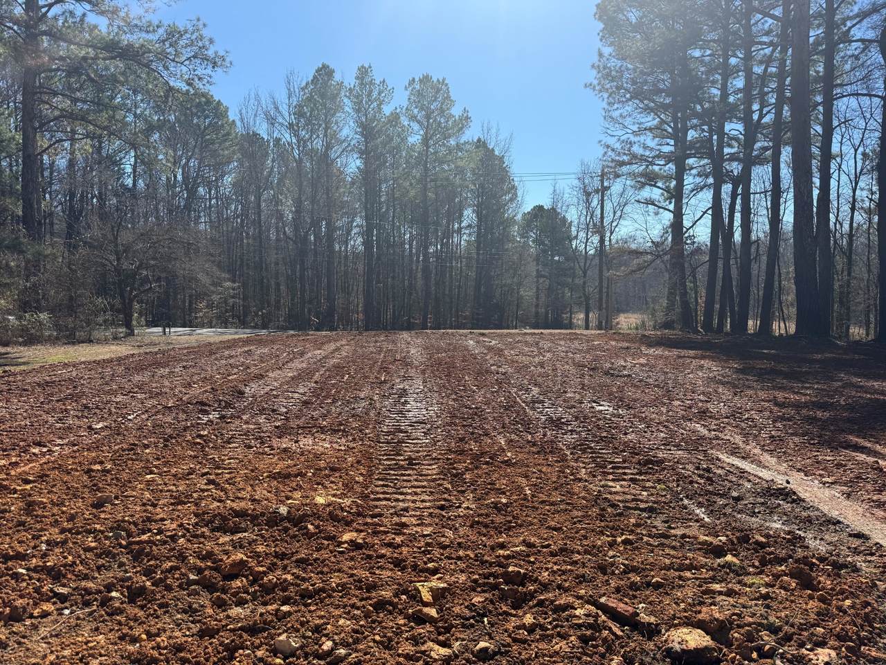 17315 Al Highway 251 - Photo 1