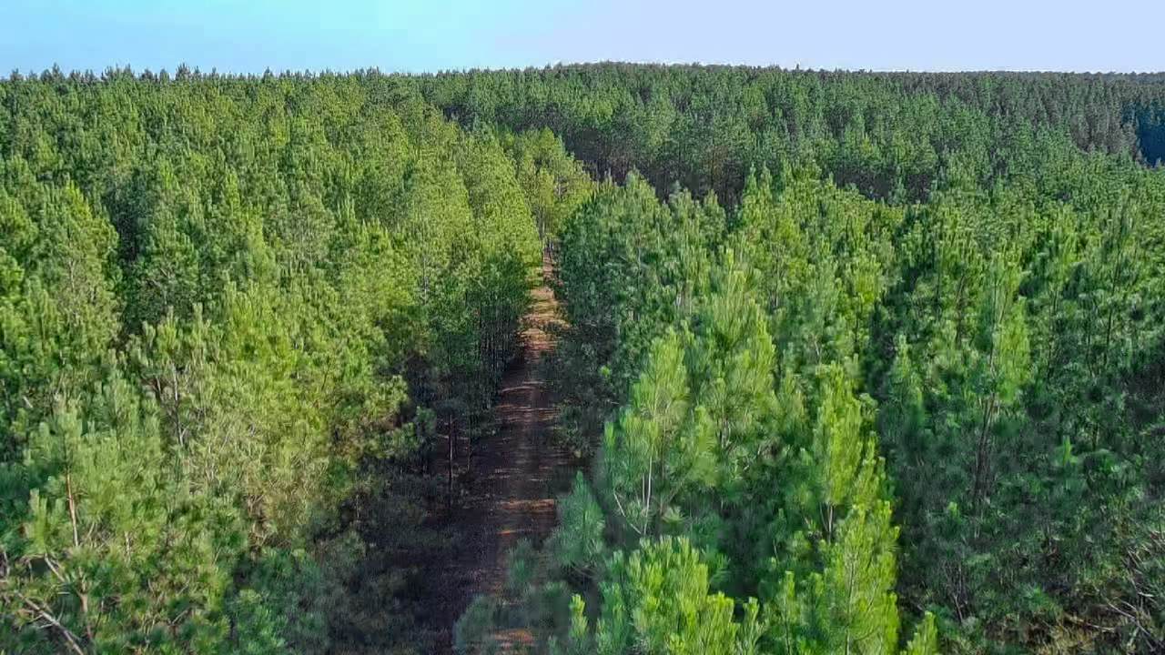0 Indian Creek Rd - Photo 1