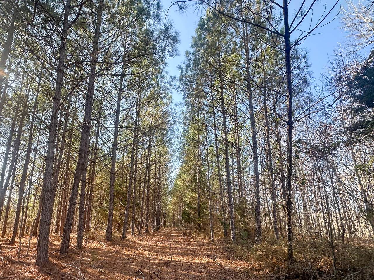 https://bt-photos.global.ssl.fastly.net/nashville/1280_boomver_1_RTC3132718-1.jpg