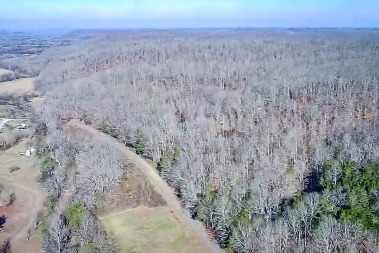 0 Mayberry Prong Rd - Photo 1