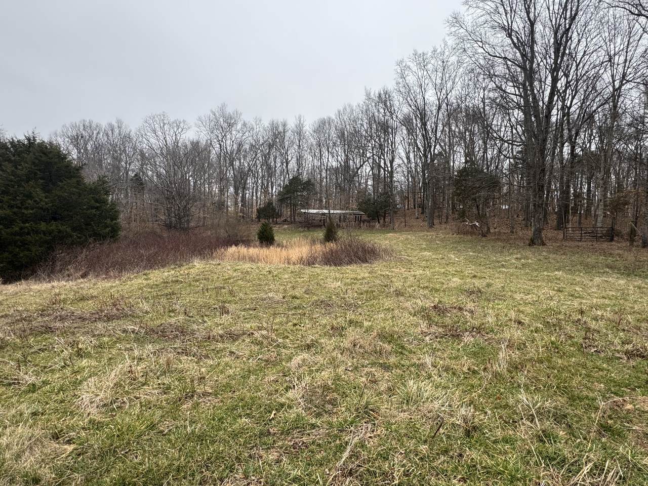 2250 Indian Creek Rd - Photo 1