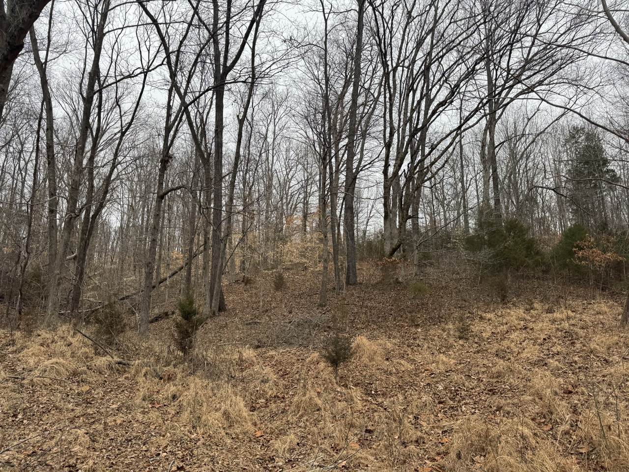 https://bt-photos.global.ssl.fastly.net/nashville/1280_boomver_1_RTC3132911-1.jpg