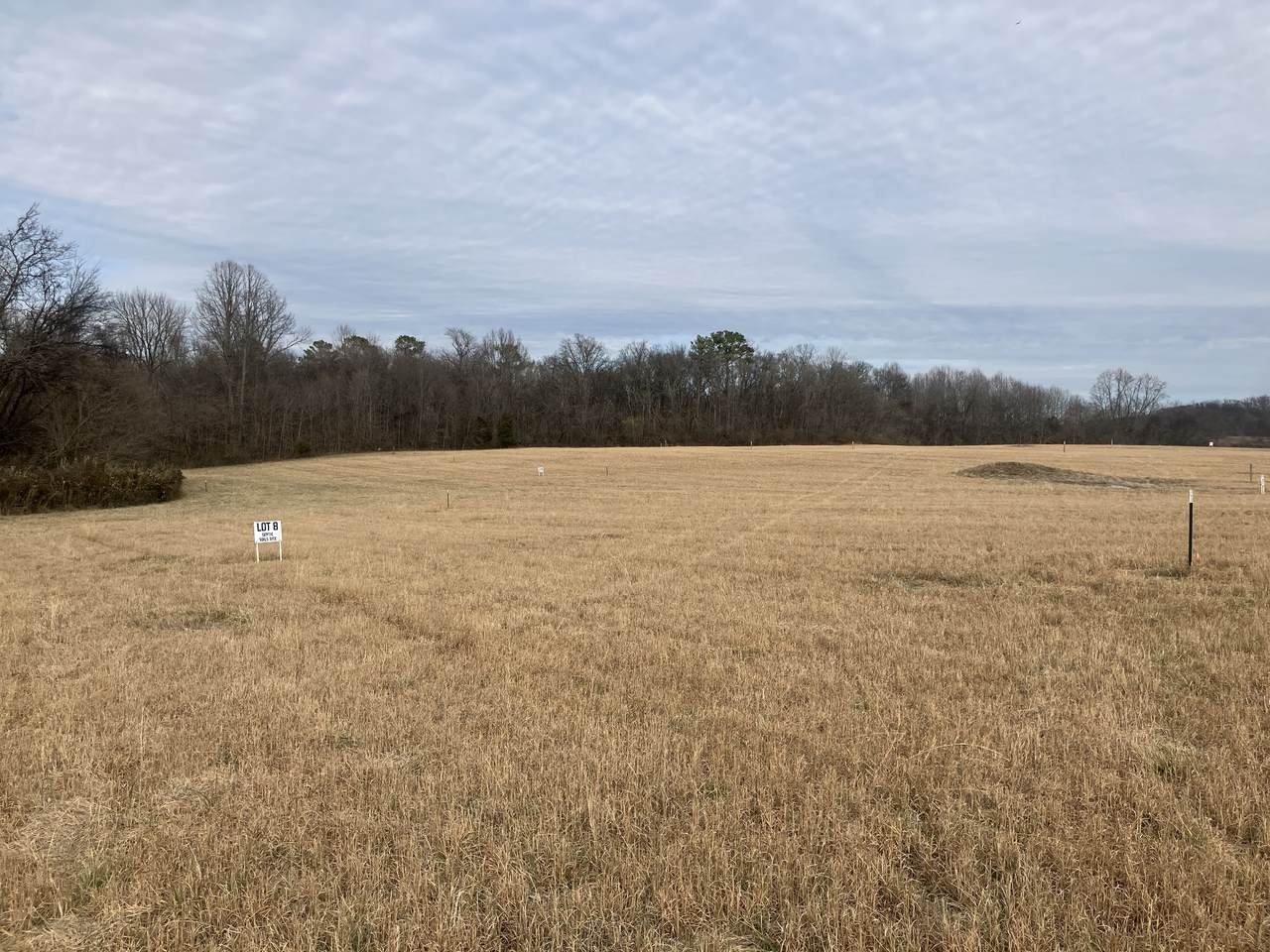 https://bt-photos.global.ssl.fastly.net/nashville/1280_boomver_1_RTC3132953-1.jpg