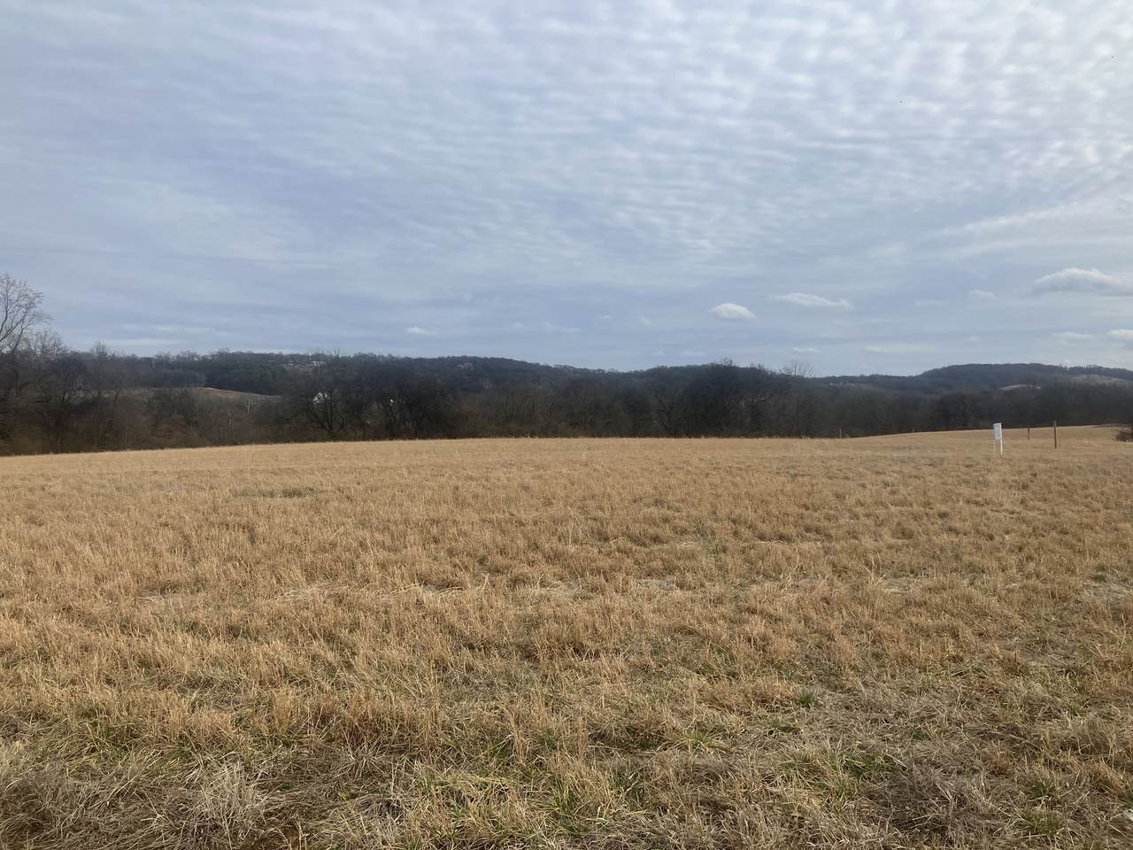 https://bt-photos.global.ssl.fastly.net/nashville/1280_boomver_1_RTC3132985-1.jpg