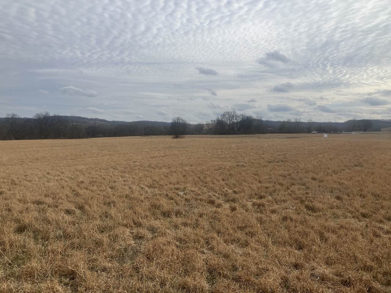 https://bt-photos.global.ssl.fastly.net/nashville/1280_boomver_1_RTC3132985-1.jpg