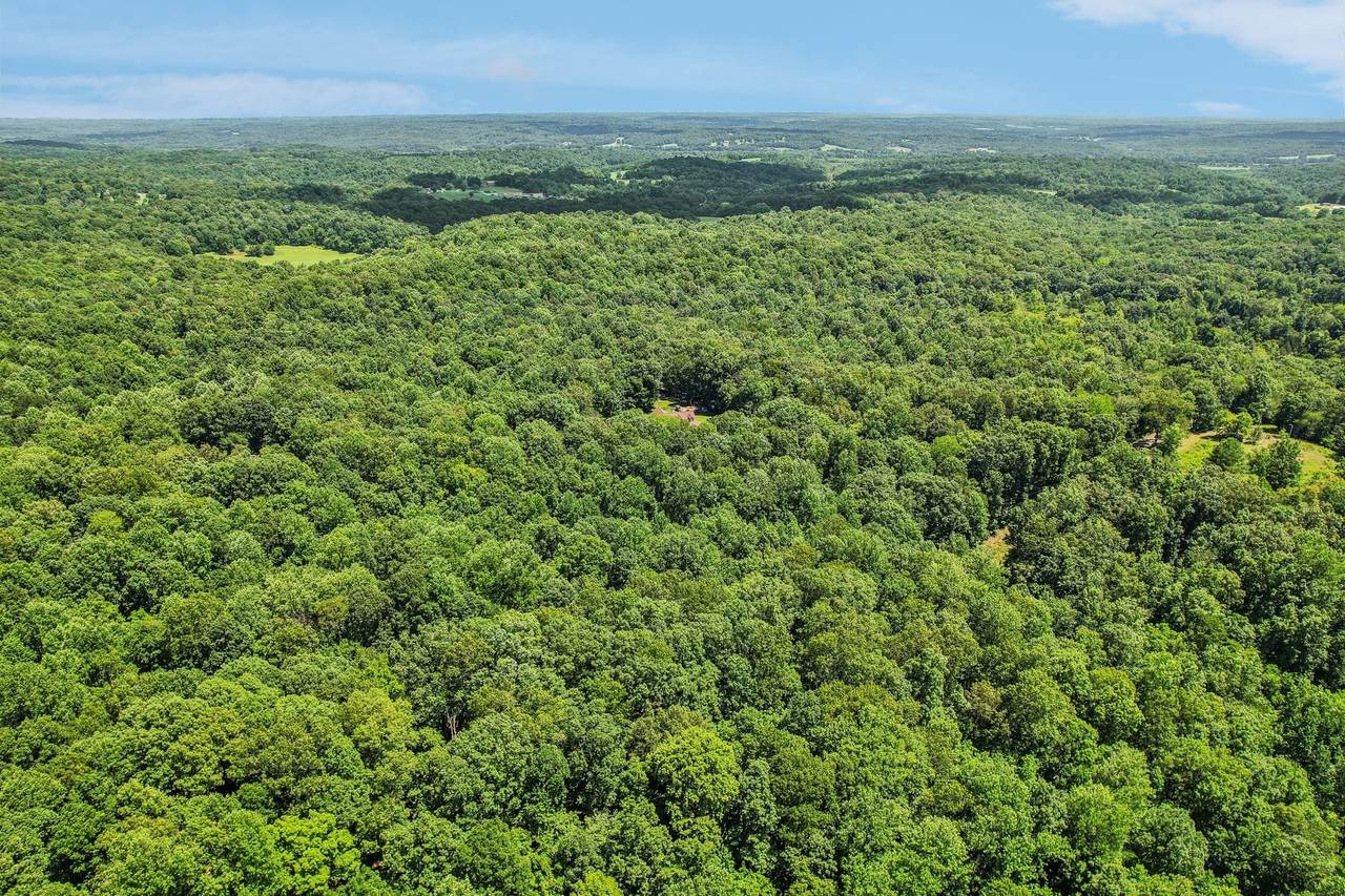 4645 Frankie Rd - Photo 1