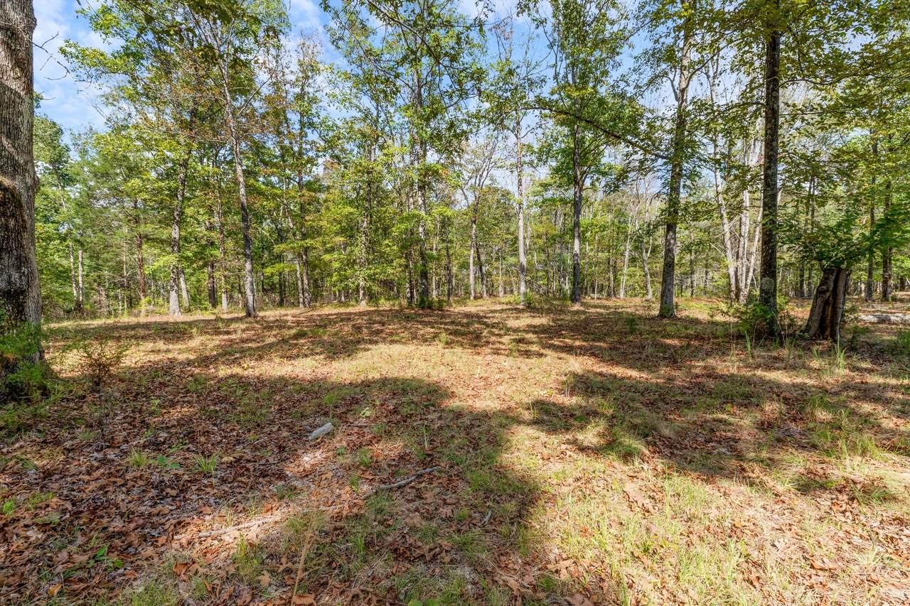 5500 Old Nashville Hwy - Photo 1