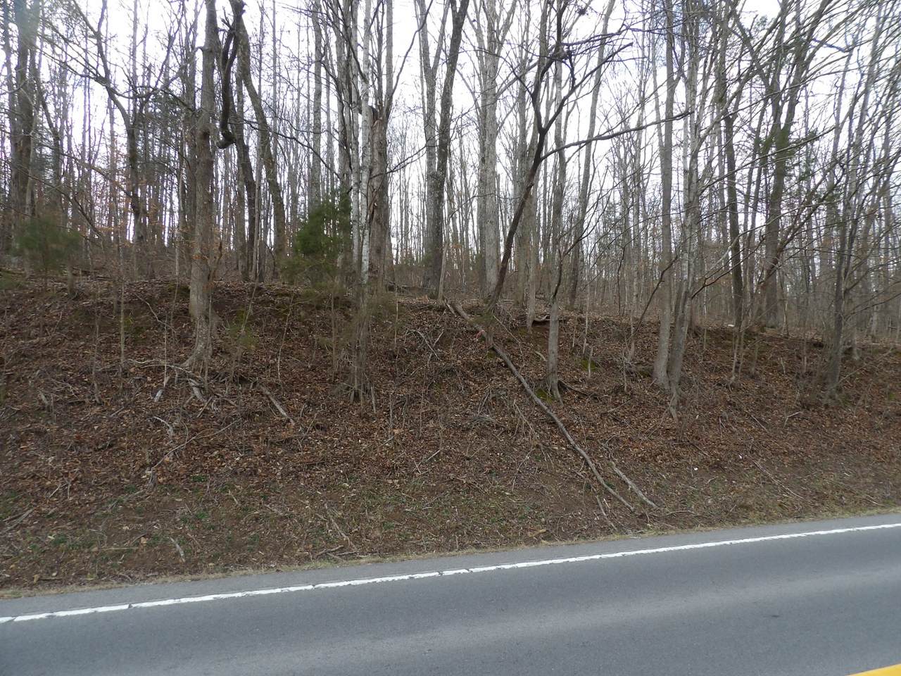 https://bt-photos.global.ssl.fastly.net/nashville/1280_boomver_1_RTC3133058-1.jpg