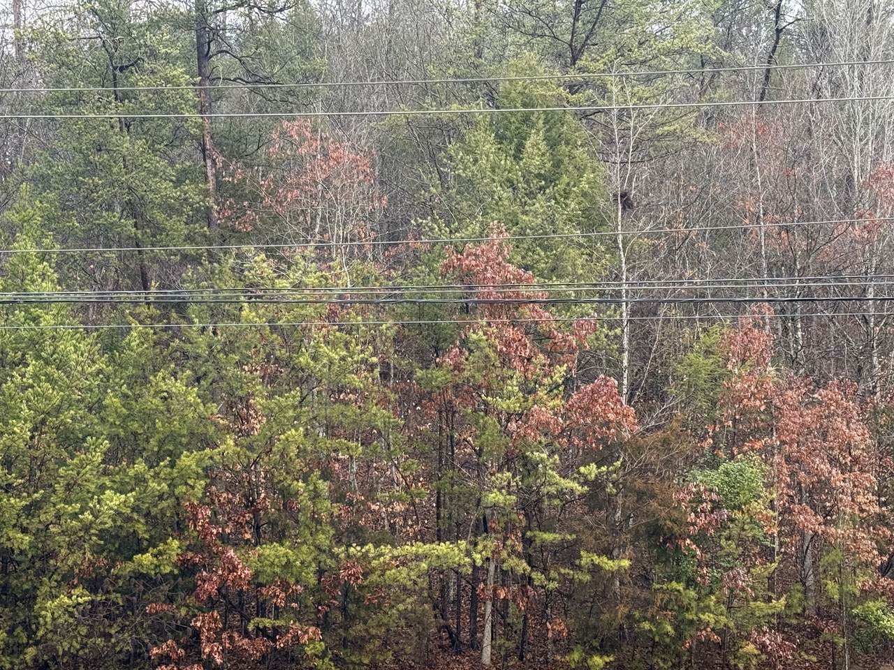 https://bt-photos.global.ssl.fastly.net/nashville/1280_boomver_1_RTC3133095-1.jpg