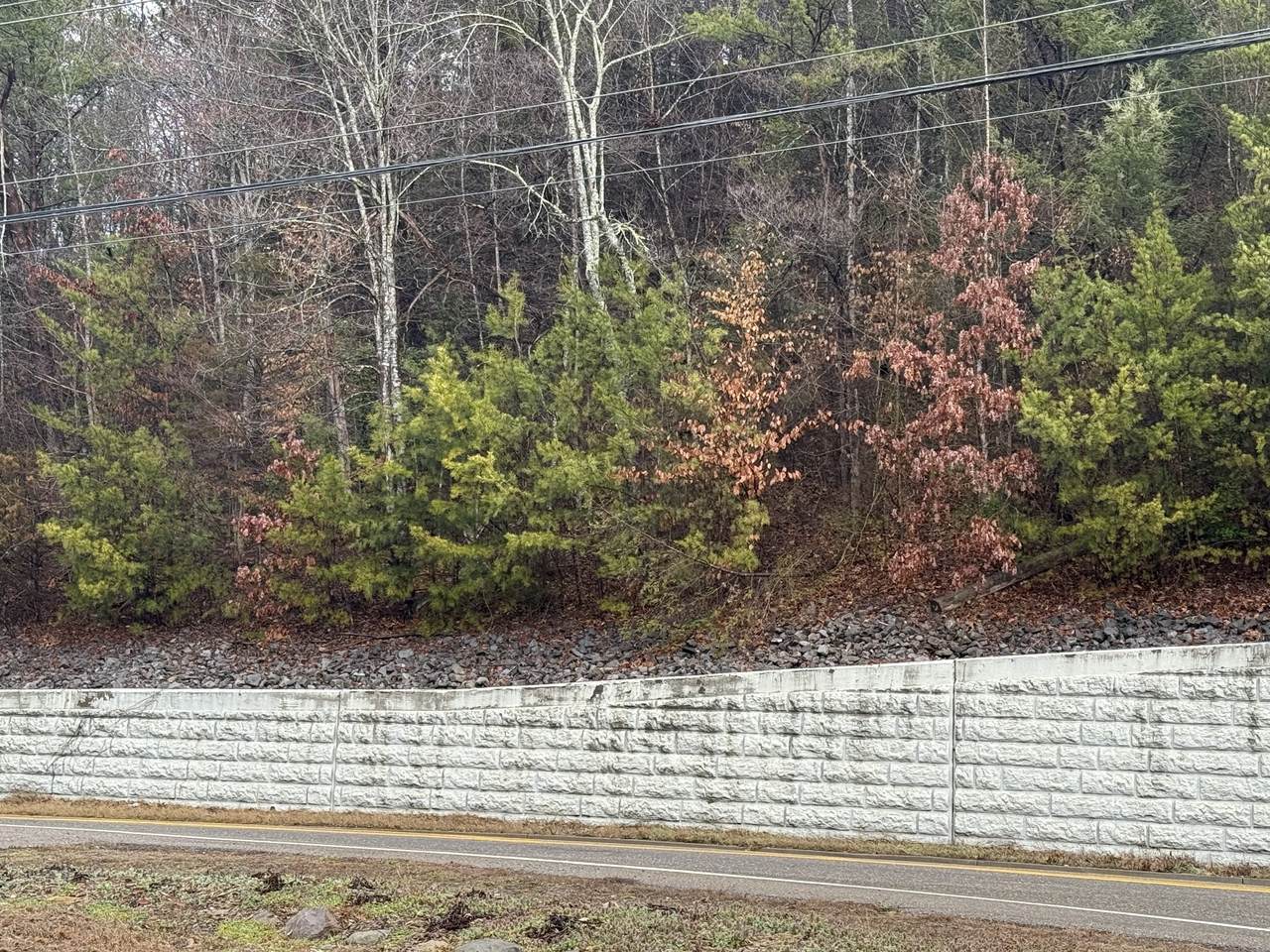https://bt-photos.global.ssl.fastly.net/nashville/1280_boomver_1_RTC3133095-1.jpg