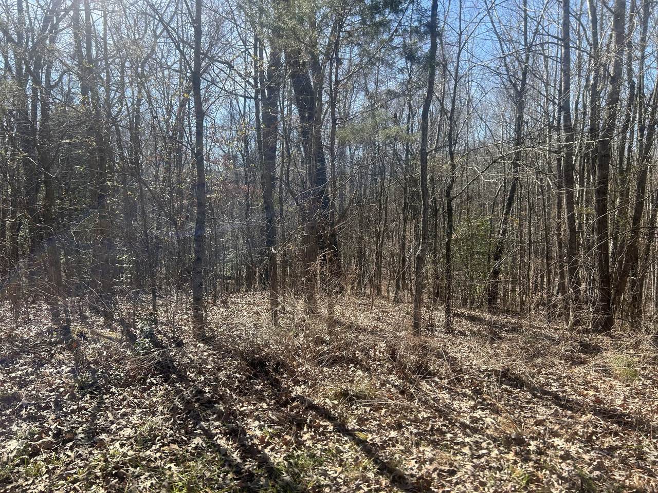 0 Sales Landing Rd - Photo 1