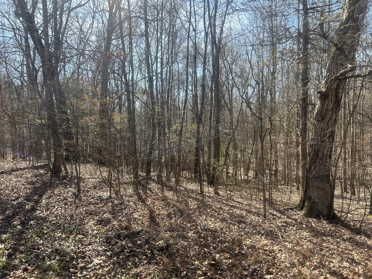 https://bt-photos.global.ssl.fastly.net/nashville/1280_boomver_1_RTC3133403-1.jpg