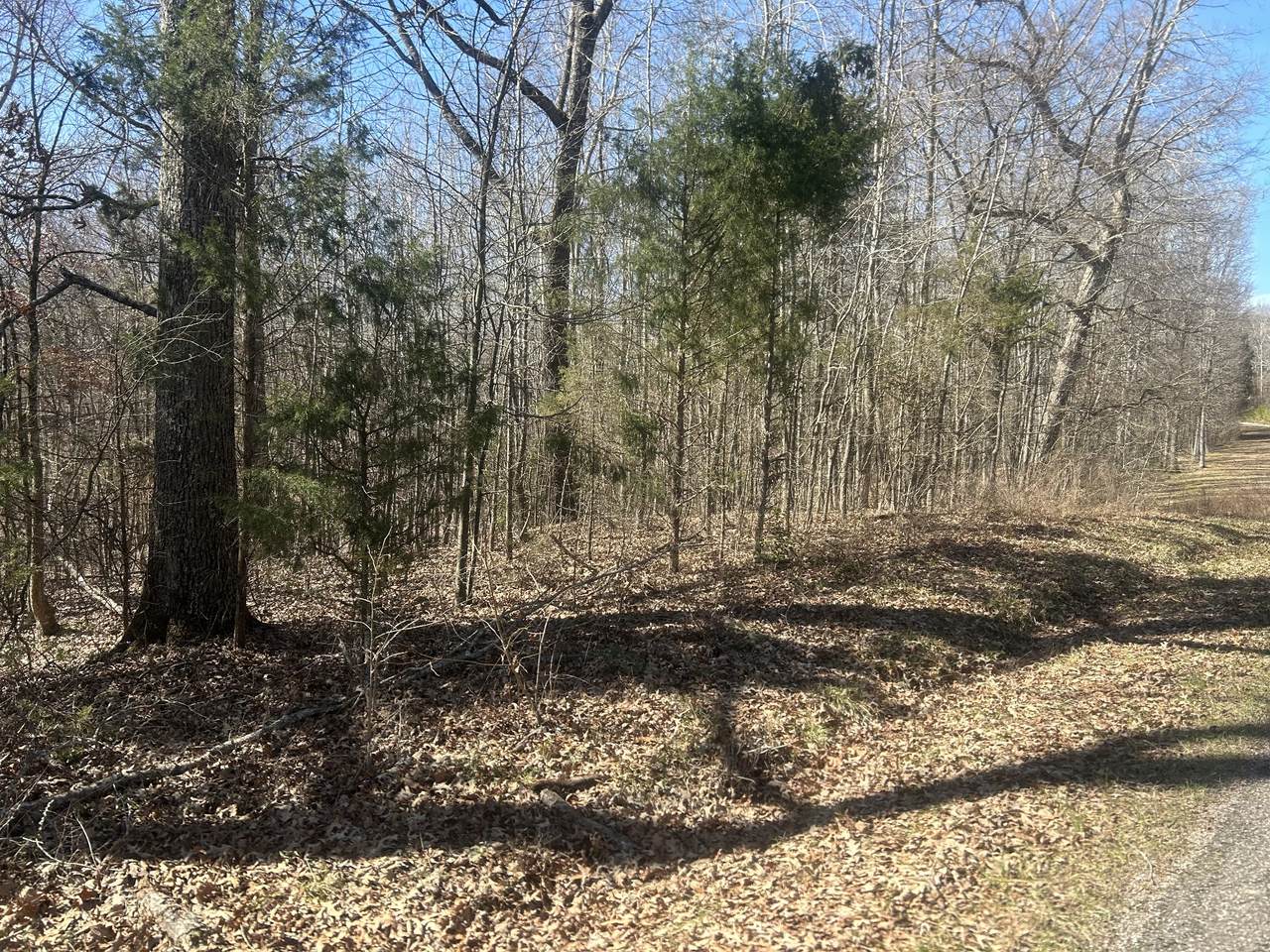 https://bt-photos.global.ssl.fastly.net/nashville/1280_boomver_1_RTC3133403-1.jpg