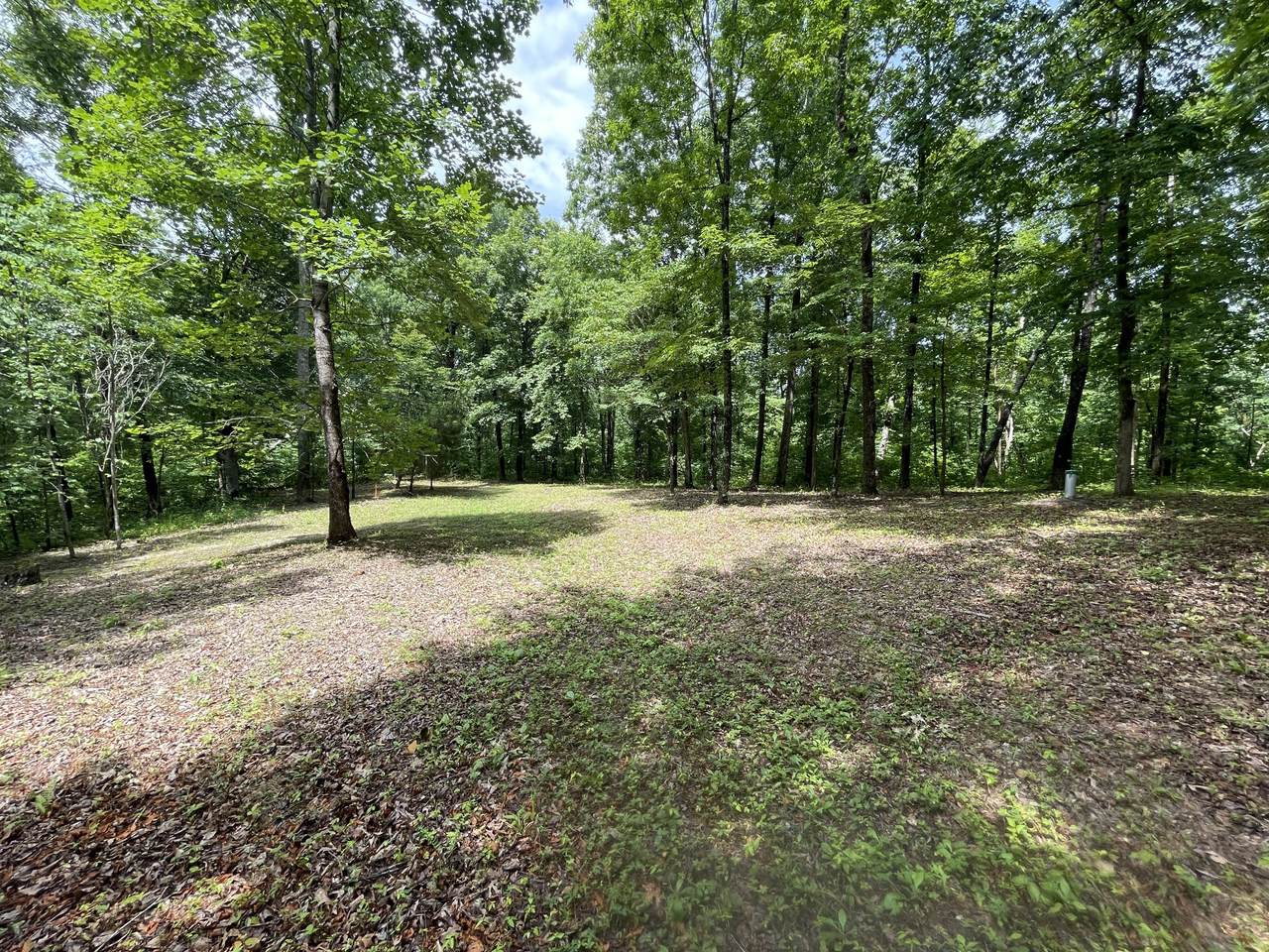 5510 Garrison Springs Ct - Photo 1