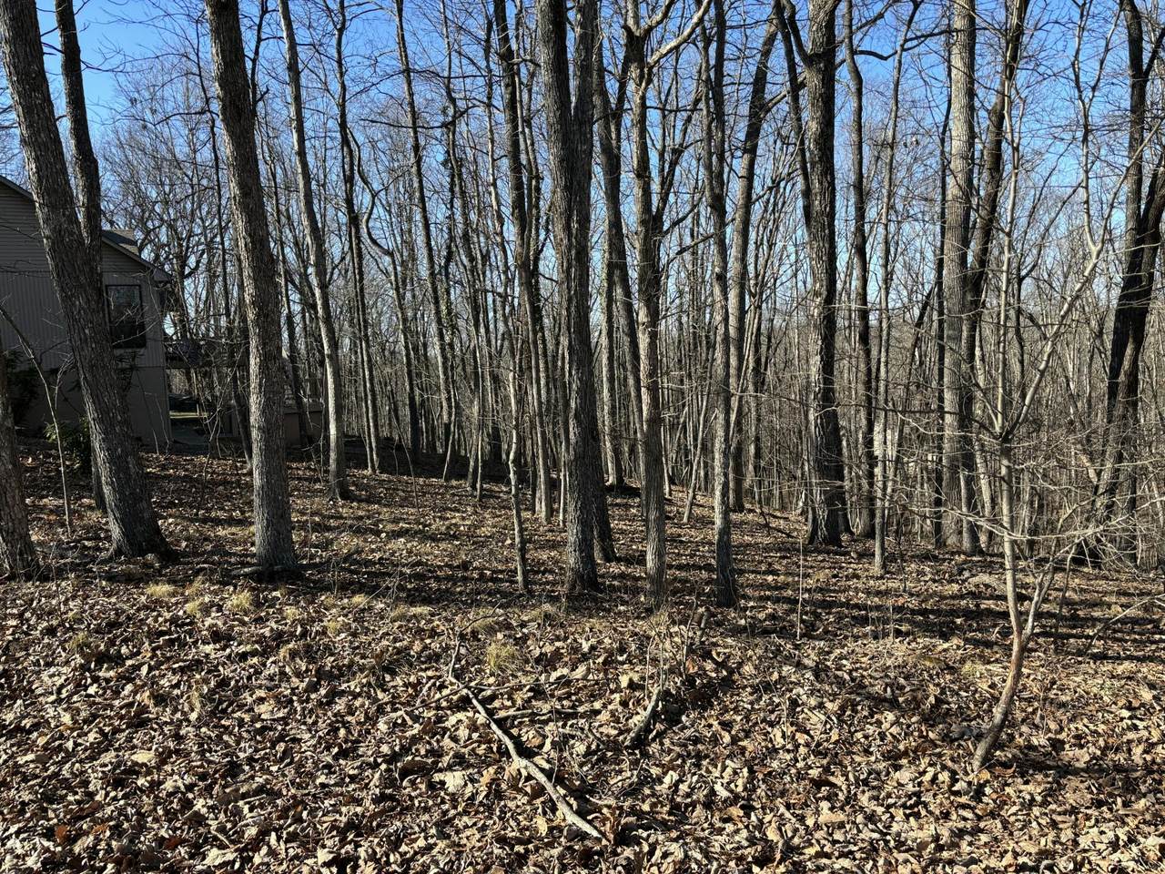 239 Amherst Lane - Photo 1