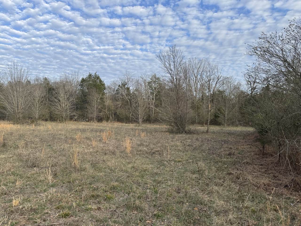 https://bt-photos.global.ssl.fastly.net/nashville/1280_boomver_1_RTC3133657-1.jpg