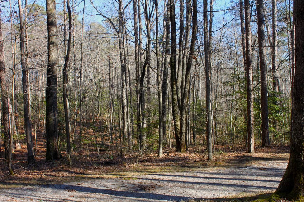 0 Woodfern Lane - Photo 1